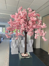 Load image into Gallery viewer, Wisteria Cherry Blossom Trees
